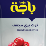 توت برى مجفف