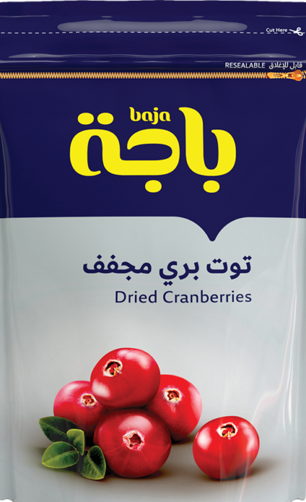 توت برى مجفف
